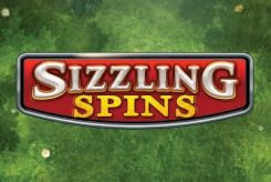 Sizzling Spins Slots
