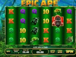 Epic Ape