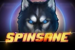 Spinsane Slots