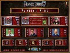 Black Widow slots