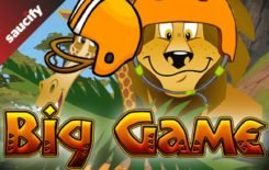 Big game slots