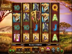 Stampede slot