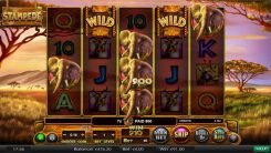 Stampede slot