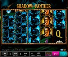 Shadow of the panther slot machine