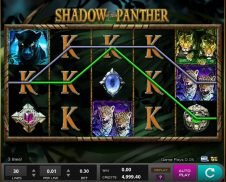 Shadow of the panther winning line