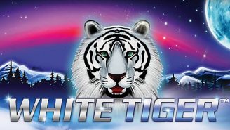 White Tiger