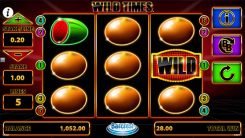 Wild Times slot