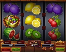 Wild Fruits online free