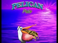 Pelican Pete