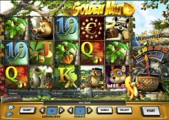 Golden Nut online free