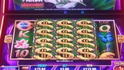 Panda Paradise Quick Fire free spins