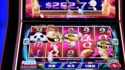 Panda Paradise Quick Fire slot machine