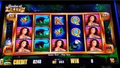 Garden of Amazon Jackpot Streak free play