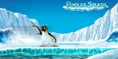 Penguin Splash