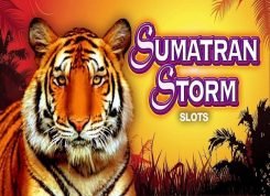 Sumatran Storm