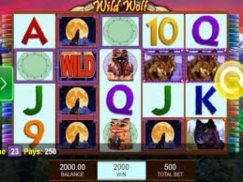 Wild Wolf free spins