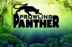 Prowling Panther