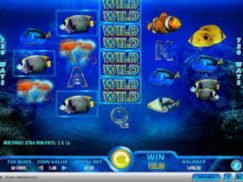 Pacific Paradise free spins