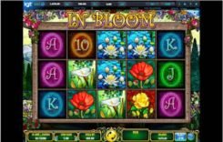 In Bloom online free
