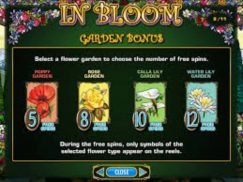 In Bloom free play