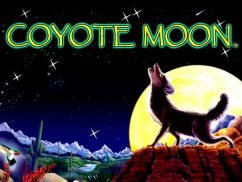 Coyote Moon