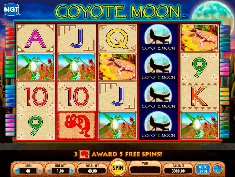 Coyote Moon