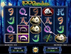 100 Pandas