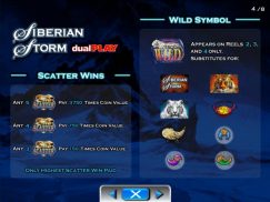 Siberian Storm Dual Play free