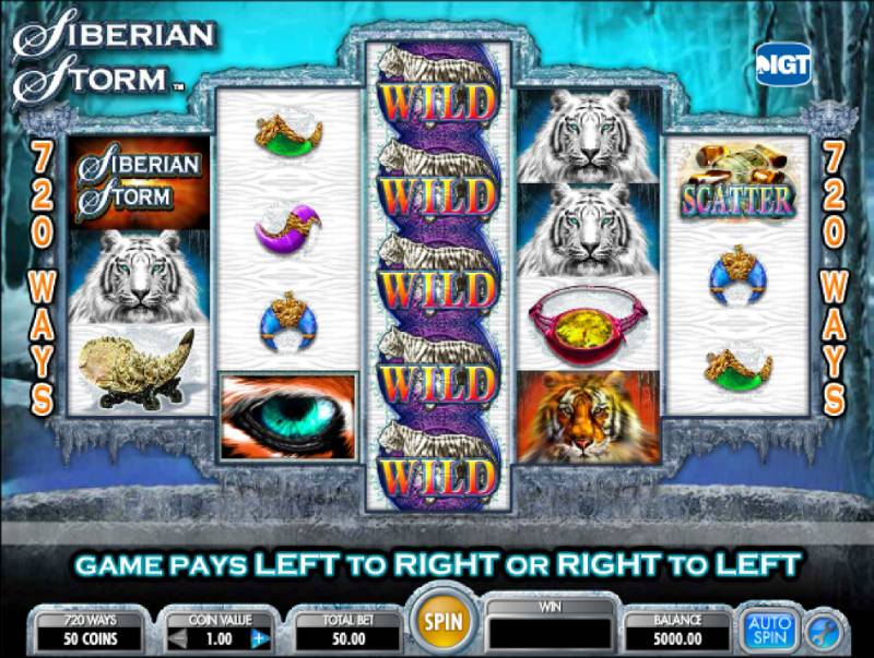 Siberian Storm Dual Play