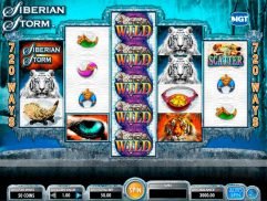 Siberian storm online free