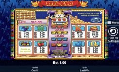 Reel King Slot Paylines
