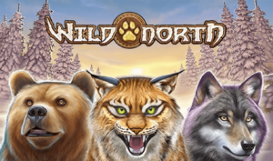 12-Wild-North-logo