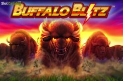 Buffalo Blitz