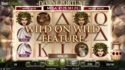 Divine-Fortune-wild on wild