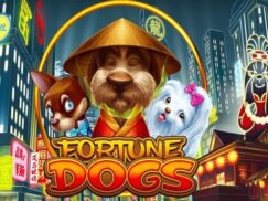 Fortune Dogs