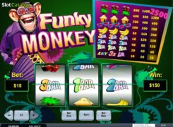 Funky-Monkey-win3