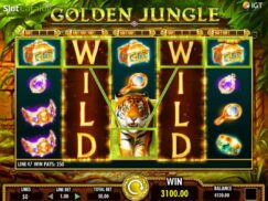 Golden-Jungle-win2