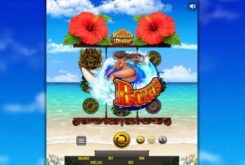 Hawaiian Dream Slot Game Bonus