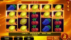 Hottest Fruits 40 Slot Game Win