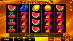 Hottest Fruits 40 slot game reels