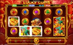 Lucky Coins Slot Game Win