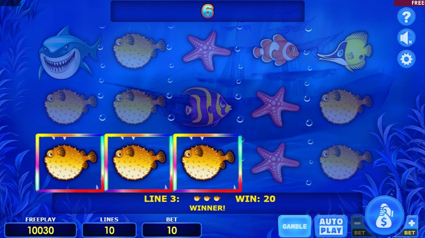 Mega Shark Slot Game Won