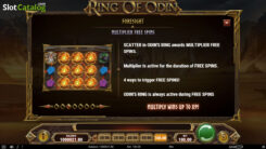 Ring-of-Odin-feature3