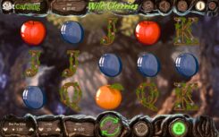 Wild-Cherries-game workflow screen