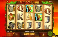 Wild Life Slot Game Free Spins Symbols