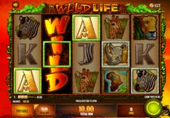 Wild Life Slot Game Wild Symbols
