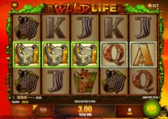 Wild Life Slot Game Win Win