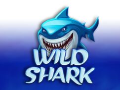 Wild Shark