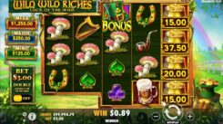 Wild Wild Riches Slot Won