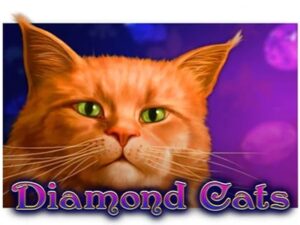 diamond cats logo